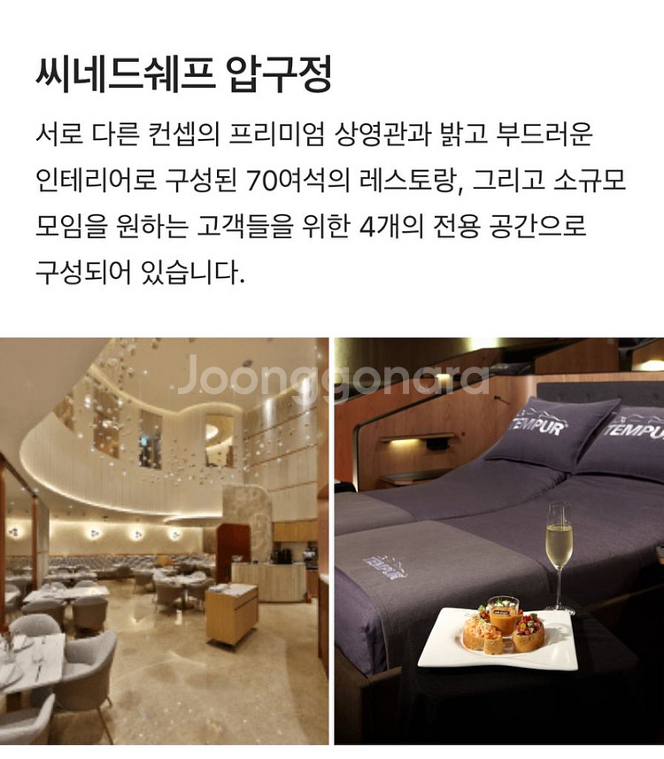 CGV 씨네드쉐프 특별관 템퍼 스트레스리스--0