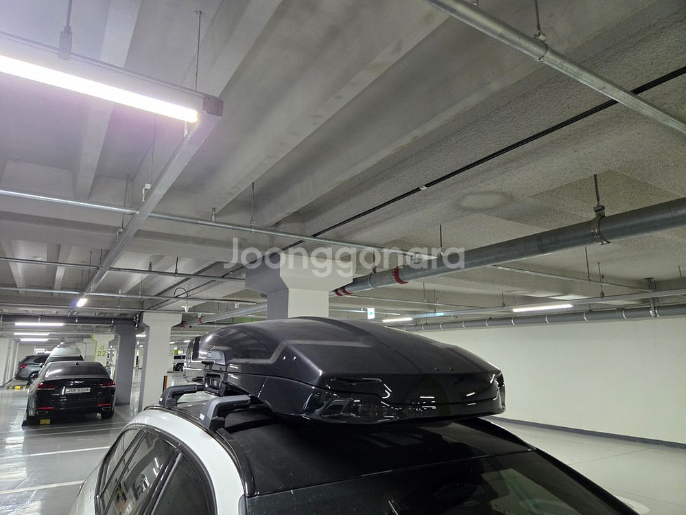 툴레 벡터 알파인 루프 케리어 박스 민트급!! bmw--3