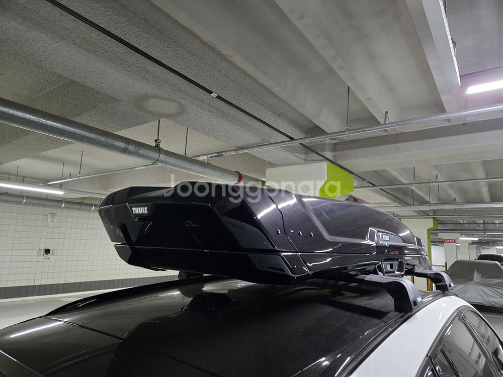 툴레 벡터 알파인 루프 케리어 박스 민트급!! bmw--4