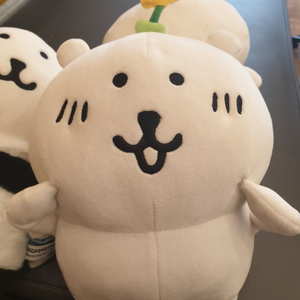 비플랏 꽃 농담곰 (택x)