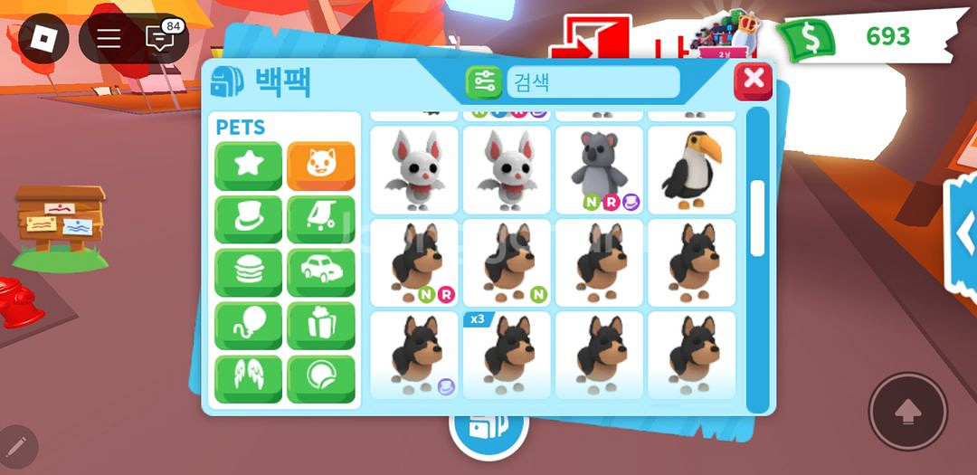 입양하세요 펫 팝니다(부엉이,네온 불곰,네온 코끼리등)--2