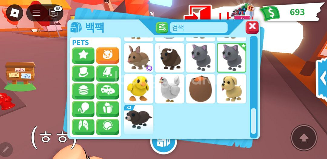 입양하세요 펫 팝니다(부엉이,네온 불곰,네온 코끼리등)--3