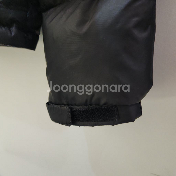 Lee 여성 크롭 숏 다운(블랙)--5