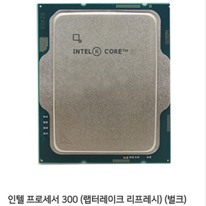 인텔 CPU 프로세서 300 최대 3.90 GH