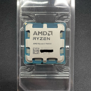 AMD Ryzen 5 9600X