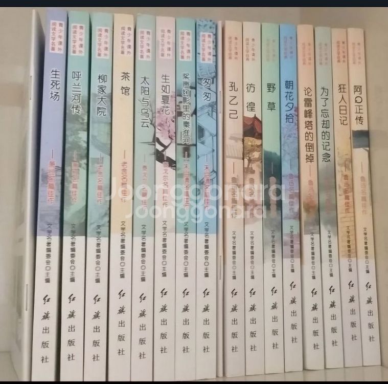 중국 만화책과 소설책--1