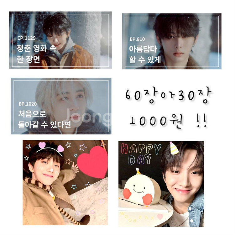 보넥도 보이넥스트도어 비공굿 포카 도무송--0