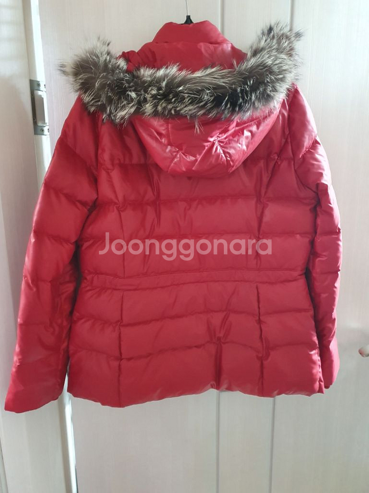 빈폴 골프 폭스퍼 구스다운 95 레드 거위털 패딩--4