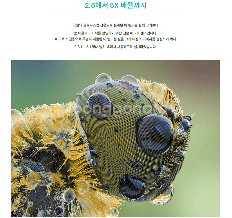 라오와 정품 25mm f/2.8 Ultra Macro--5