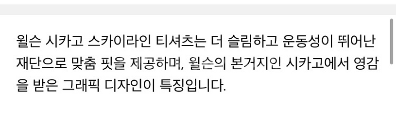 새제품) 윌슨 시카고 스카이라인 티 M 테니스--2