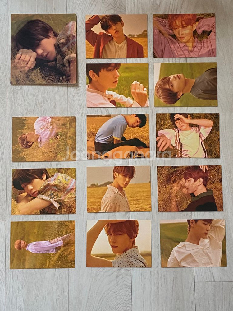 세븐틴 공굿 포카--1