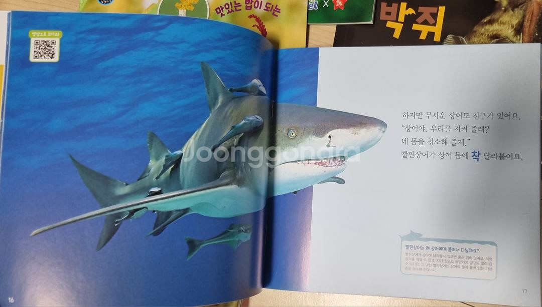 (미개봉)끄레블 블럭 / 창의 블럭 / 어린이교구--7