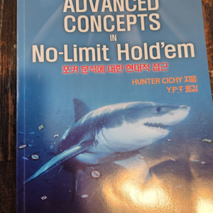 Advanced Concepts in No-Limit