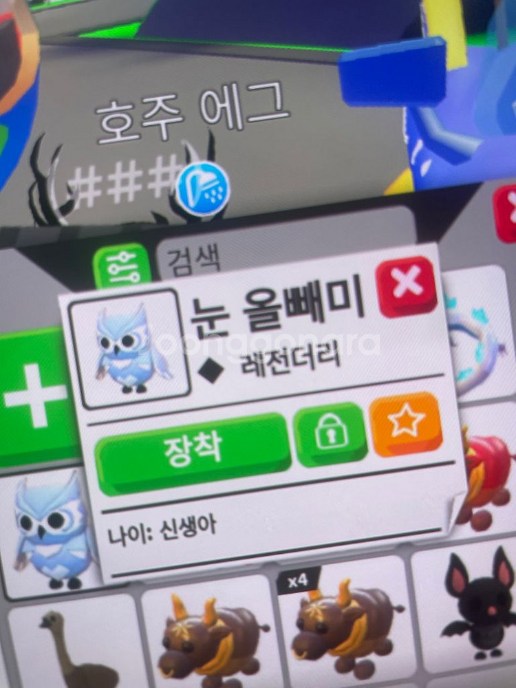 입양하세요 다양한거 팔아요--3