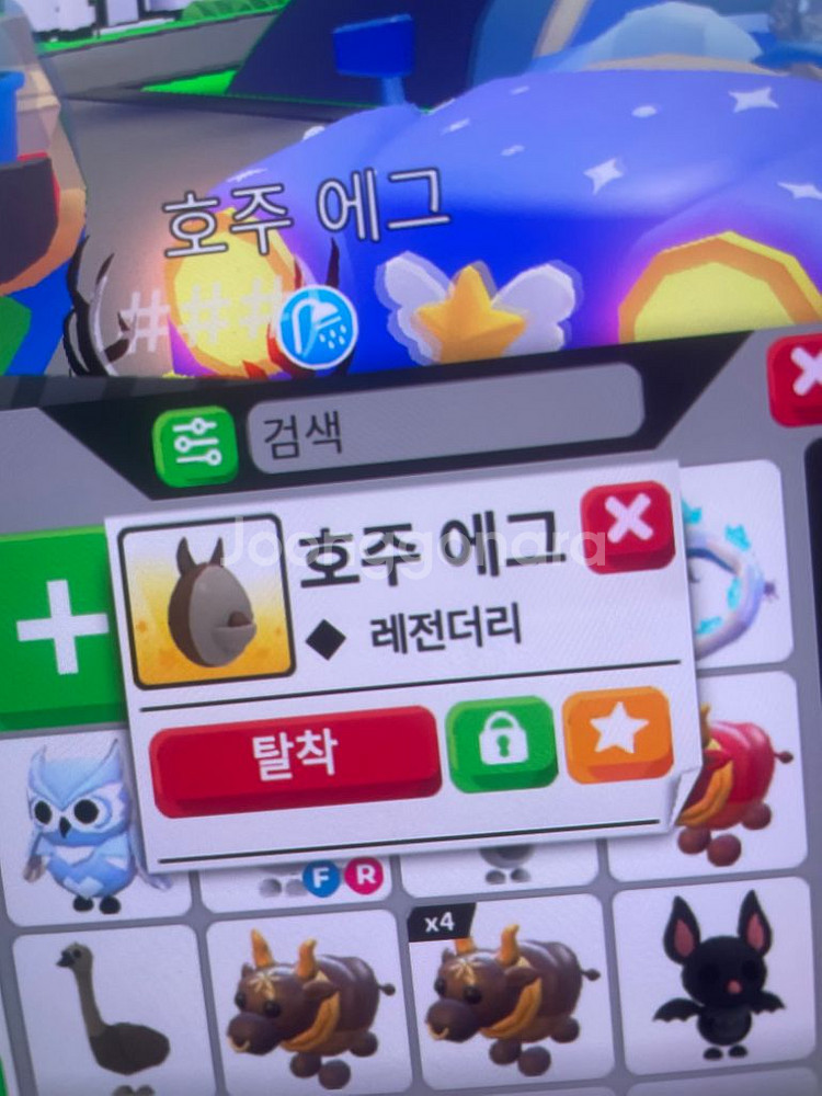 입양하세요 다양한거 팔아요--2