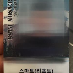 비발디파크 시즌권(리프트) 양도합니다.