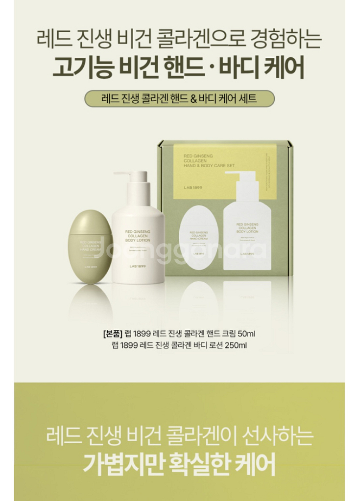 정관장 랩1899 레드 진생 콜라겐 핸드크림,바디로션--4