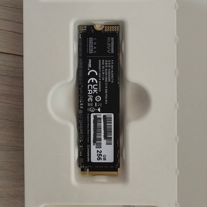 M.2 NVMe SSD 256GB (에센코어 CRAS