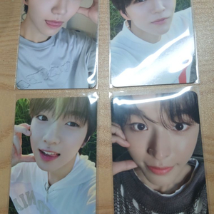 엔시티 위시 포카 양도