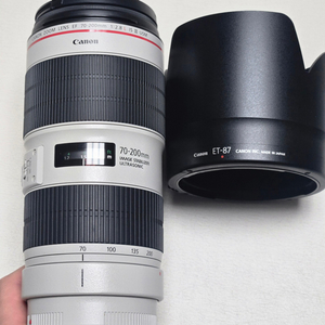 EF 70-200 F2.8 L IS III 새새아빠