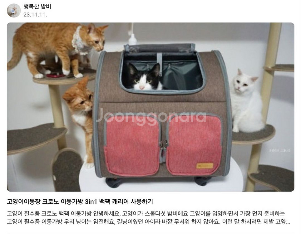 크르노 강아지 고양이 캐리어 이동가방(거의새것)--7