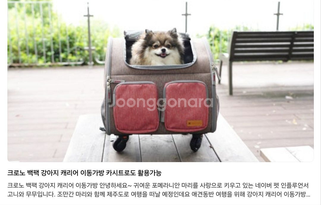 크르노 강아지 고양이 캐리어 이동가방(거의새것)--5
