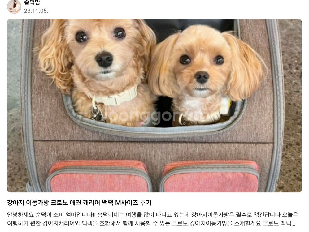크르노 강아지 고양이 캐리어 이동가방(거의새것)--8