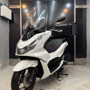 신차보증O 24년식 pcx125abs 3천km 신차급