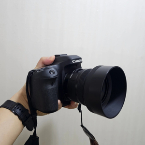 캐논 80D + 시그마 30mm 1.4 아트삼식이