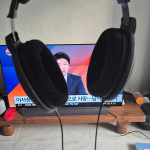 젠하이저 hd600 신형 팝니다.