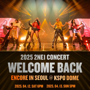 투엔이원 2ne1 콘서트 선예 댈티 대리 해 드립니다