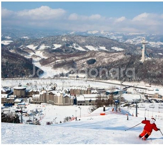 1/28,29)알펜시아 평창 홀리데이인 호텔 숙박권--1