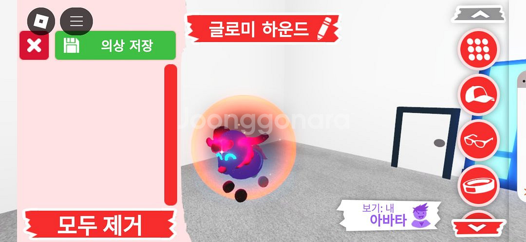 입양하세요 펫 메가네온 글로미레오+글로미하운드 팝니다--1