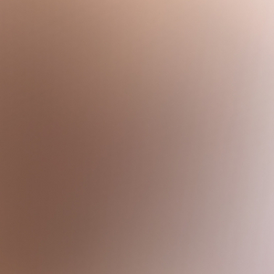 X5 시즌권 구매합니다