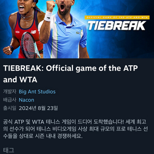 타이브레이크 TIEBREAK 테니스게임 스팀키 팝니다