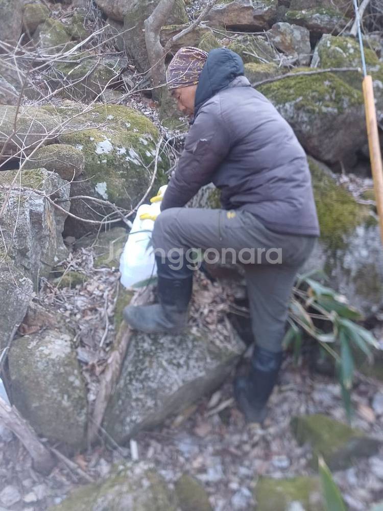 지리산 고로쇠 깊은산 채취판매!--7