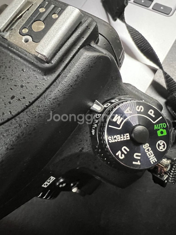 니콘 d750(5천 컷)--3