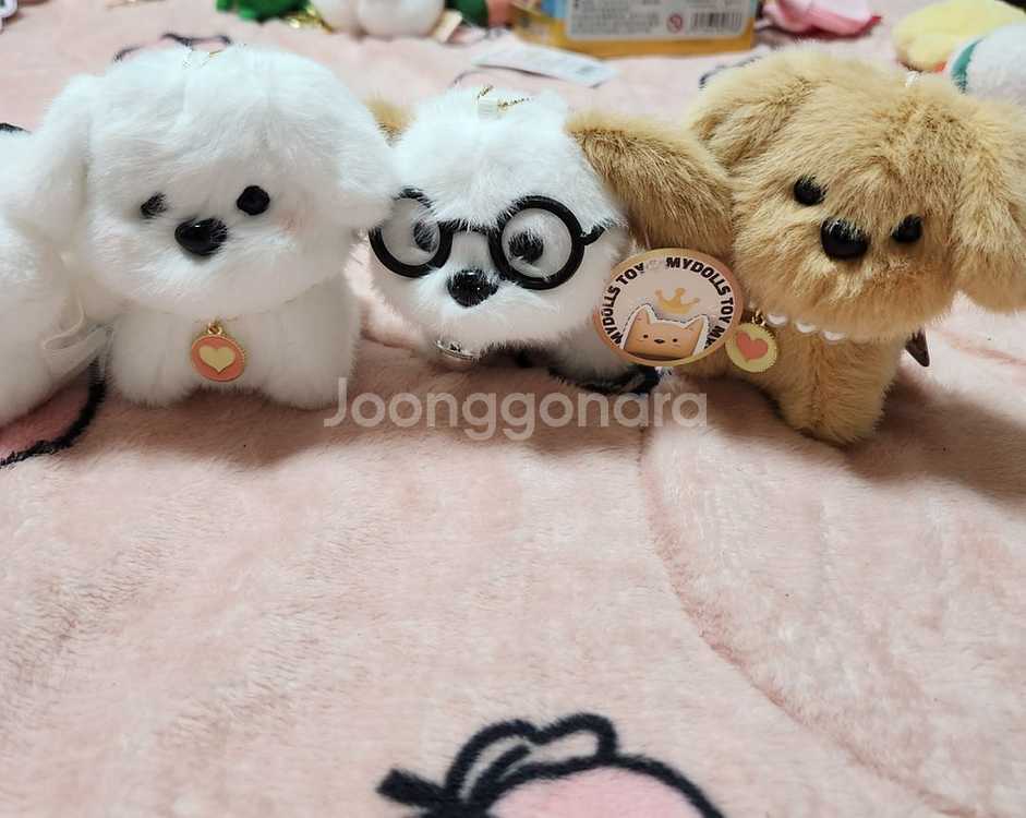 [새상품]귀여운 웨딩강아지/진주목걸이 강아지--0