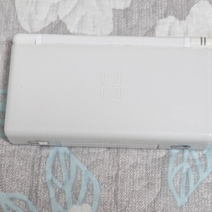 급처 닌텐도 DS Lite (라이트), 정품 충전기