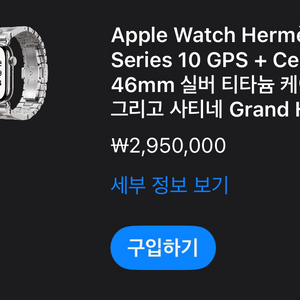 애플 에르메스 사티네 46mm L 애플케어