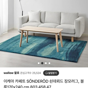 이케아 SONDERD 170x240 러그 카페트