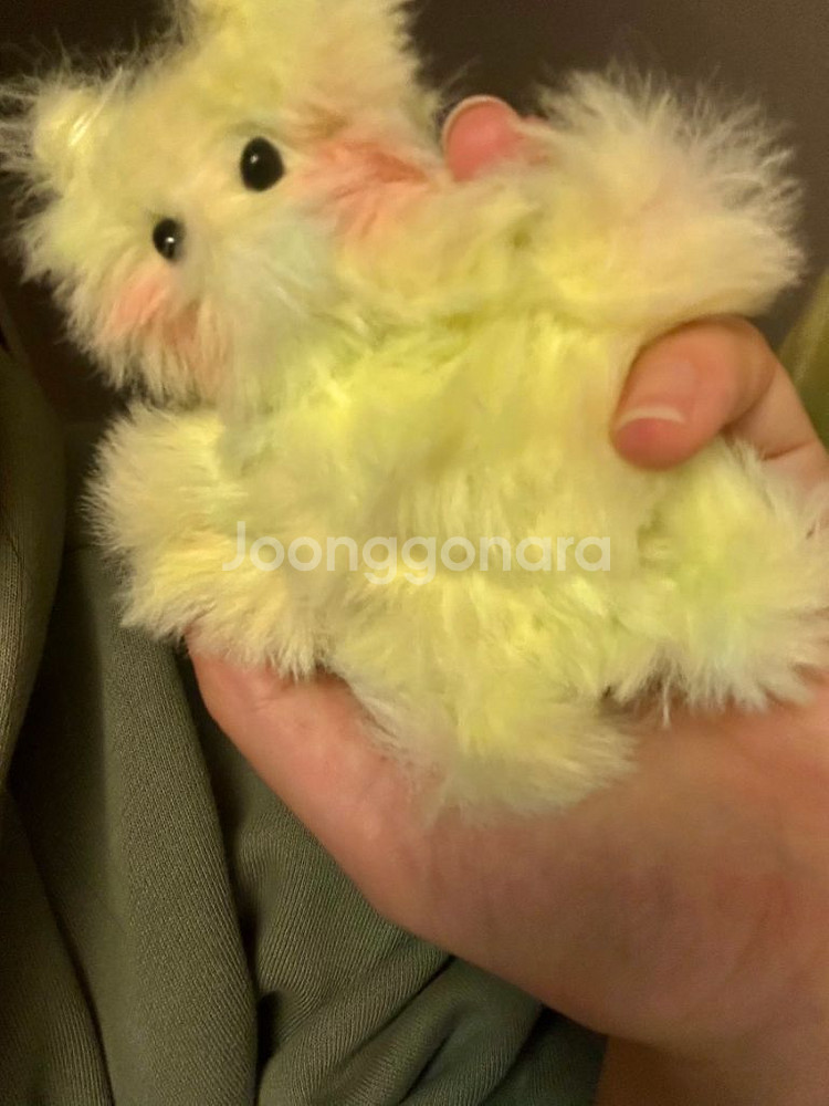 보넥도 보이넥스트도어 인형 양도 직접 만든 인형입니다!--1