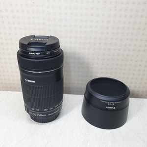 캐논 EF-S 55-250 IS STM 망원렌즈