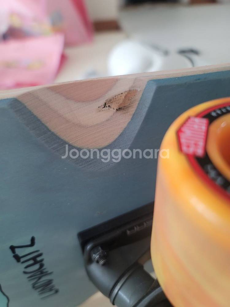 랜디야츠 딩기 크루져보드--1