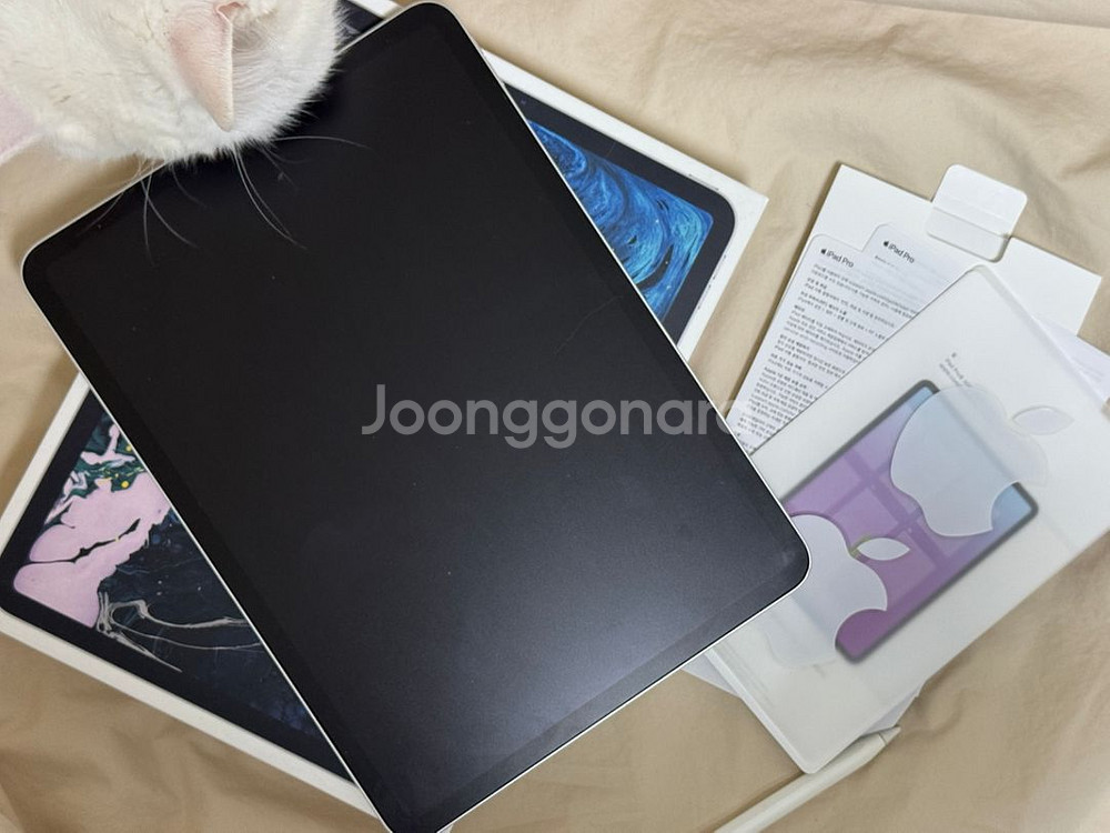 아이패드 프로 11인치 256gb wifi+애플펜슬증정--1