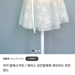 앤블레 발레 스커트