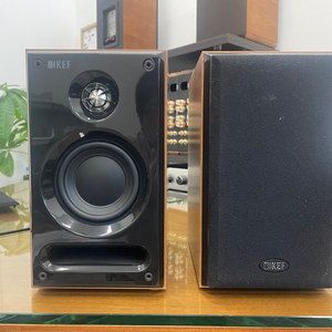 KEF sp3651 북쉘프