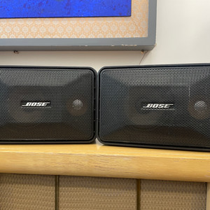 BOSE 101 music monitor