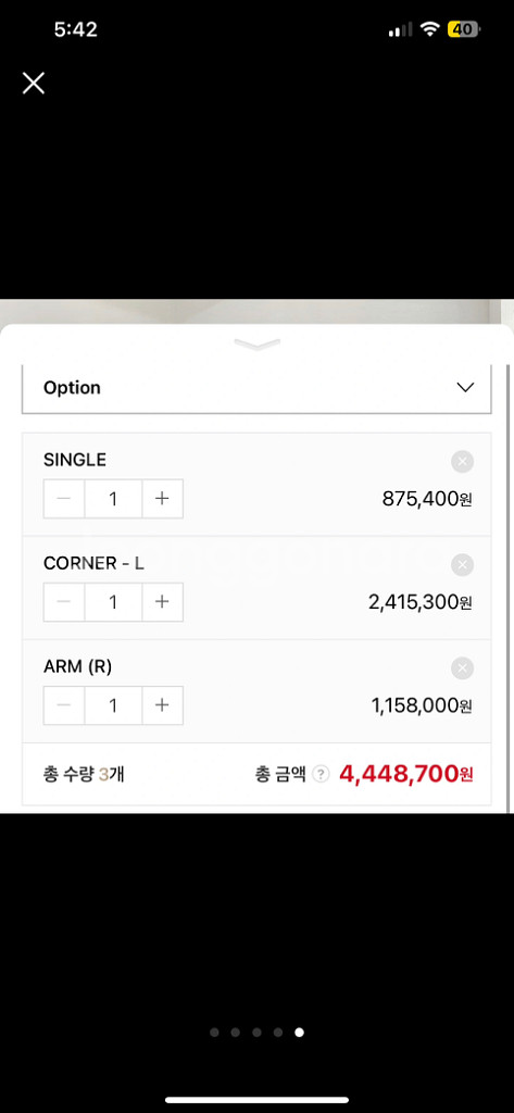 바이소 에드라 스탠다드 소파--4