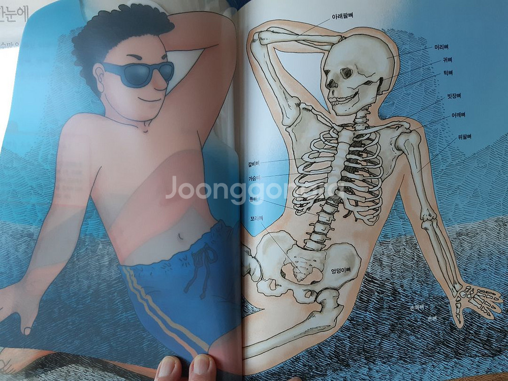 두산동아 원리과학 전62권--6